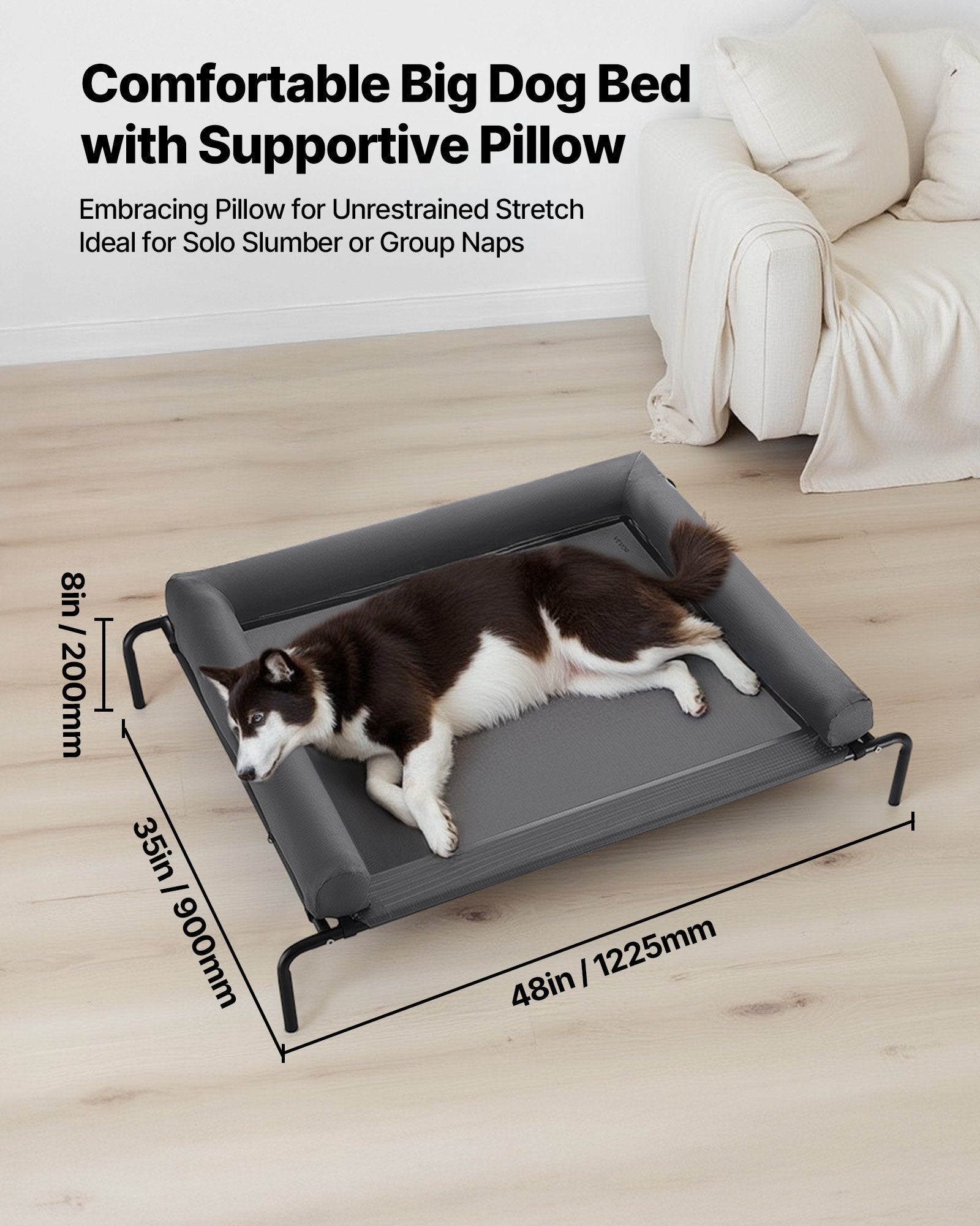 dog lying on elevated bed showing 48 by 35 inch dimensions and 8 inch height