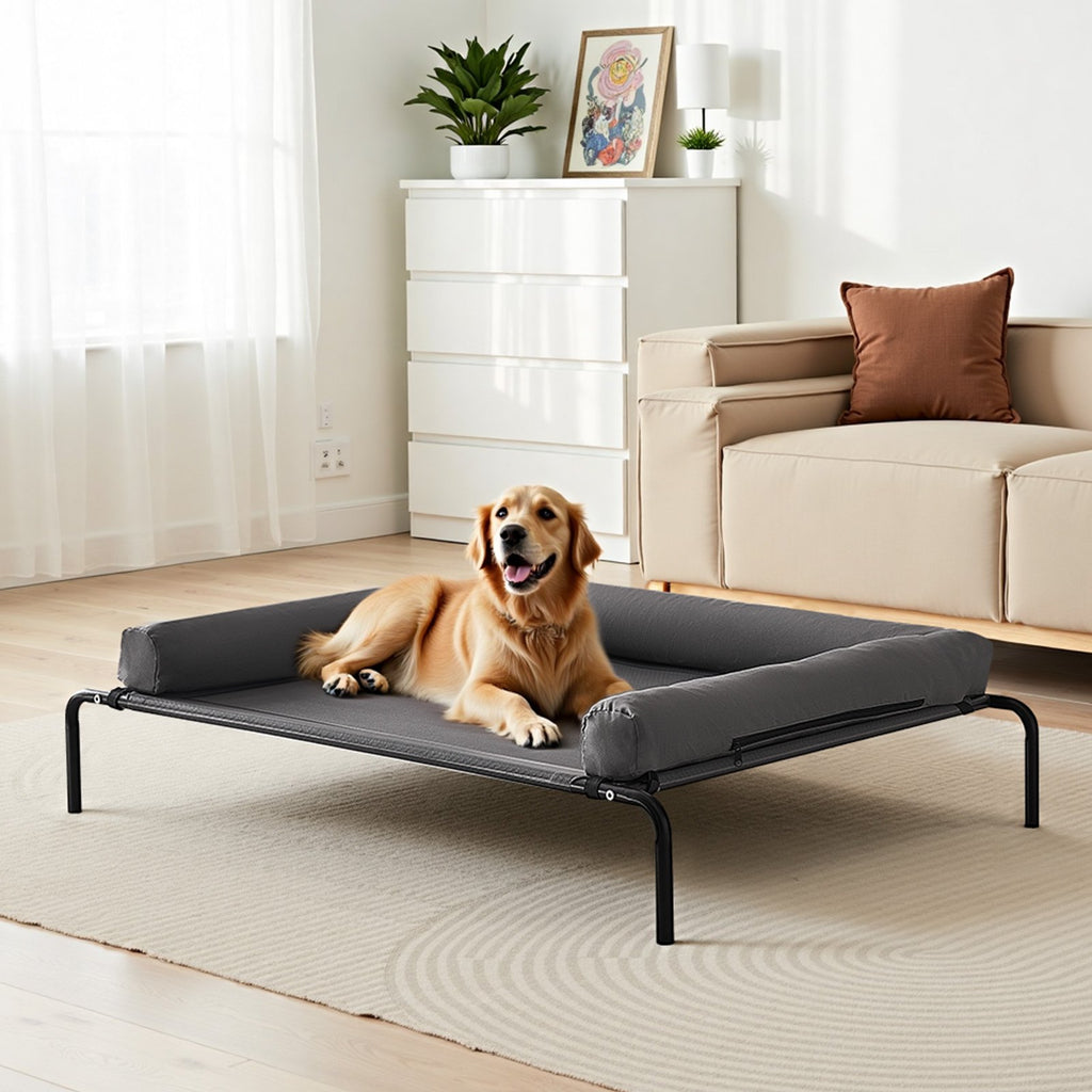 golden retriever resting on gray elevated dog bed in bright living room