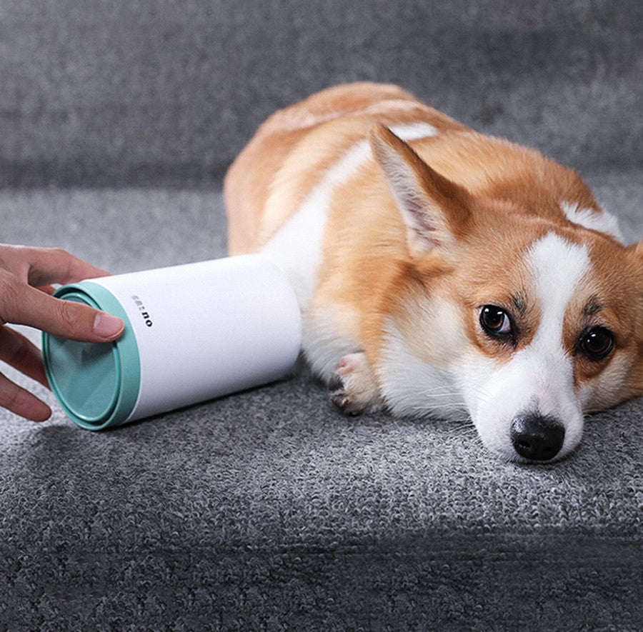 corgi lying next to white twist-clean dog paw washer cup