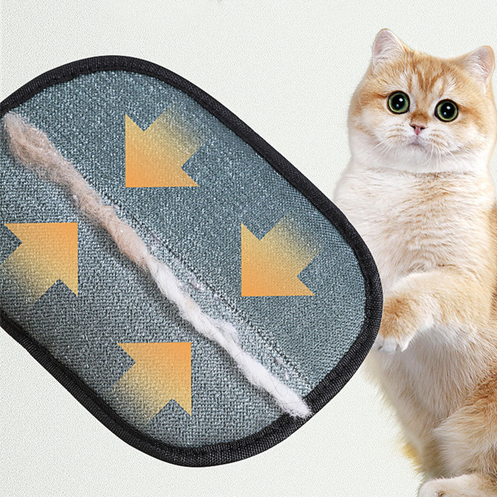 cat beside grooming glove showing removed fur collected on surface