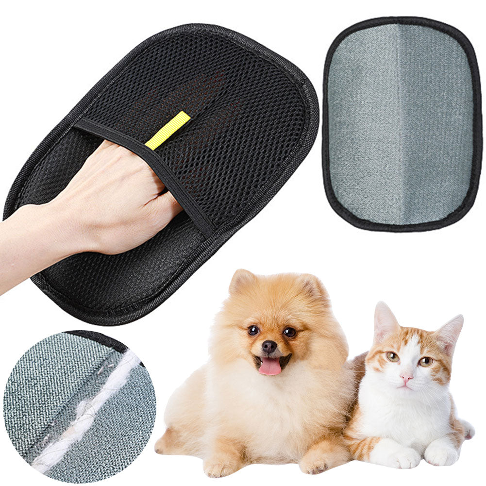 hand wearing black mesh pet grooming glove beside dog and cat