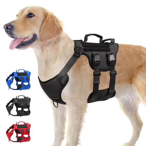 Golden retriever wearing a black no-pull dog harness with top handle and reflective trim
