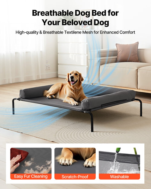 golden retriever relaxing on elevated breathable mesh dog bed in living room